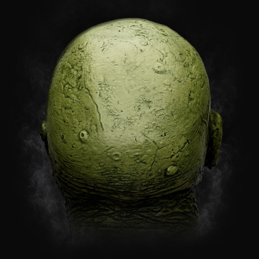 TOXIC ZOMBIE MASK 401103